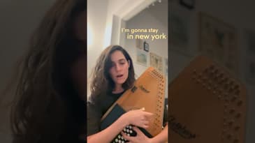 Would you live in NY? #cover #autoharp #hohnenford