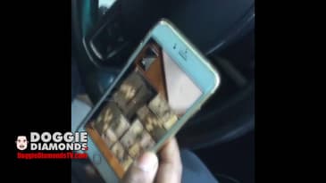 Meek Mill Shows Young Thug $1Million In Cash In A Shoebox