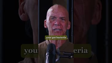 Why you might need a B12 Supplement | Life of Excellence Podcast #shorts