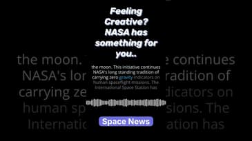 NASA's Search for Artemis Mascot