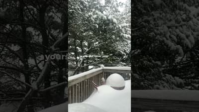 Slowing down is mental health care #selfcare #slowdown #mindfulness #mindbodysoul #calm