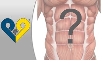 Should abdominals be trained everyday or not?