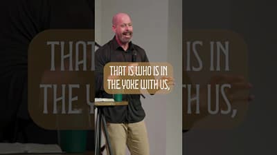 How Can Christ's Yoke Be Easy?