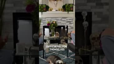 #AugustSkye Explains the Mind Games for a #HustleBunny #podcast  @theplugpodcasts