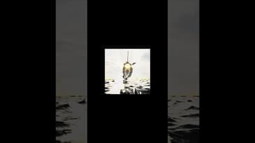 Ani and Living Soul 5/7