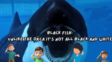 Black Fish: Unlike The Orca It’s Not All Black And White
