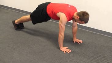 Twist Plank