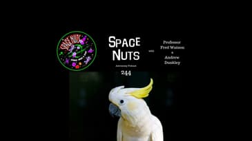 The One with the Cockatoos