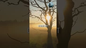 Live A Life Of Gratitude And Trust #Gratitude #Faith #DailyFaith