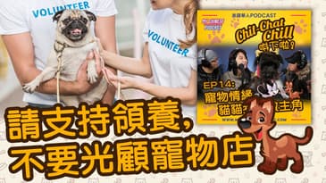 請支持領養, 不要光顧寵物店 | EP14 精華片段 | Chit-Chat Chill 唞下啦! | 美國廣東話 Podcast 節目