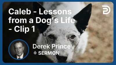 Caleb - Lessons from a Dog's Life | Clip 1 | Derek Prince