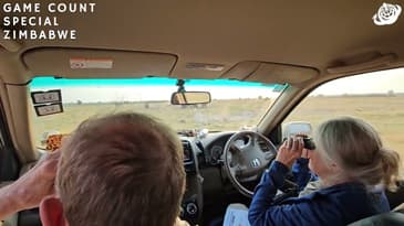 Driving Around the Bush! Zimbabwe Game-Count Special with Globe Aware (2023)