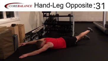 Hand-Leg Opposite Lift