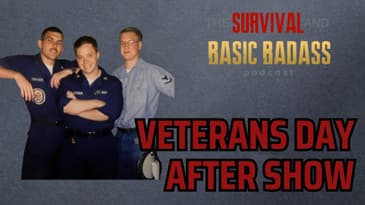 After Show Veterans Day