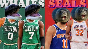 Boston Celtics Killer Whale Offense HUNTED vs Knicks : Film Session