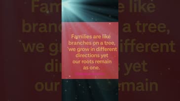 Family 🌳#podcast #ndh #blendednotstirred #ndhpodcast ##coparenting