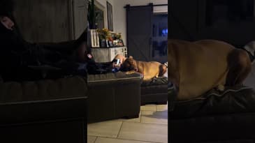 #blendednotstirred #podcast #funny