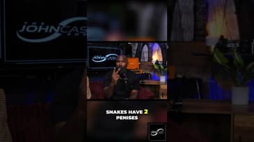 Snakes With TWO Penises?! Freaky Fact Friday!