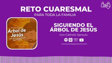 día 20 - RETO: En familia día a día con el Árbol de Jesús hasta la Pascua