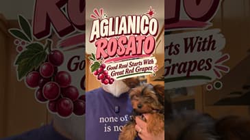 Aglianico Rosato: Why Great Rosé Starts With Great Red Wine Grapes #rosewine #italianwine