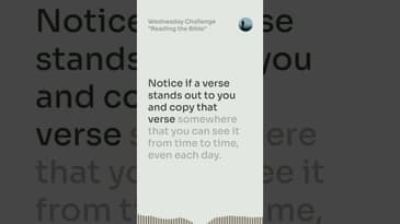 Wednesday Challenge - ‘Reading the Bible'