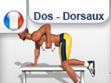 Muscler Dos et Dorsaux