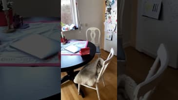 Lunchrast på Kirinaja AB