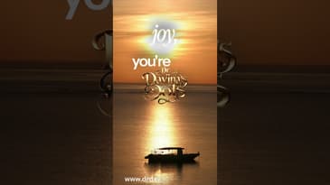 You’re Still Here, A Morning reflection to Slow Down with gratitude