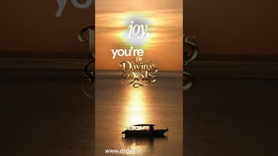 You’re Still Here, A Morning reflection to Slow Down with gratitude