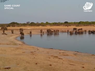 Daytime Observation - Hwange National Park - Game Count Zimbabwe with Globe Aware Oct 2025 Clip 12