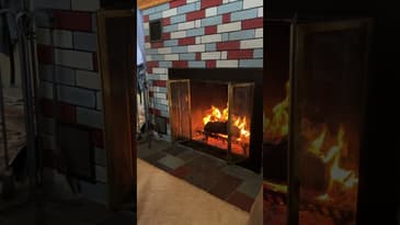 ￼#shorts #winter #fireplace #wycethoughts #cats #funnyanimals