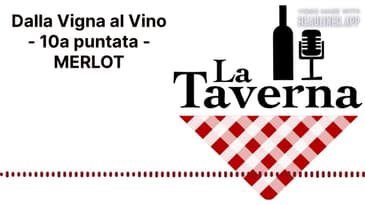 Dalla Vigna al Vino - 10a puntata - MERLOT | La Taverna Friuli Wine