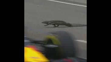 Pokemon GO Monsters At Formula 1 Races?