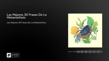 Las Mejores 30 Frases De La Metamorfosis