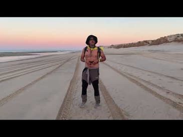Hike through the Valley of the Giants