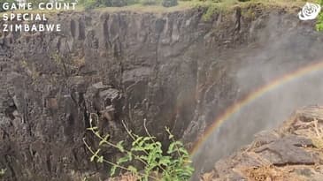 Close Up View Of Spectacular Victoria Falls! Zimbabwe Game-Count Special with Globe Aware (2023)