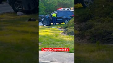 Car Crash Aftermath! #shorts #collision