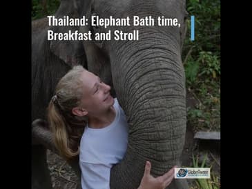 Live Virtual Experiences from Around the World- with Globe Aware Coordinators