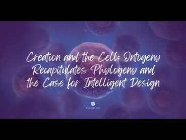 Creation & the Cell: Ontogeny Recapitulates Phylogeny & the Scientific Case for Intelligent Design