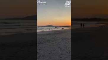 A Beautiful SunsetA Solo Spring Adventure in the Galápagos with Globe Aware ( Clip 18)