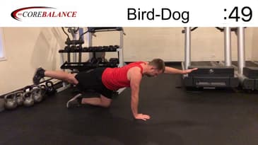 Bird-Dog - Core Balance and Stability | Chris Janke-Bueno