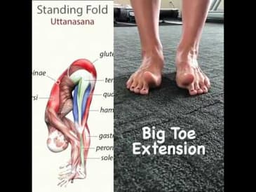 How To Fix Your Feet