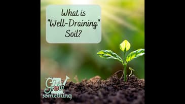 What is Well-Draining Soil? - Ep. 153