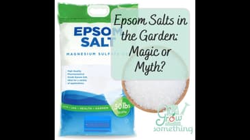 Epsom Salts - Magic or Myth? - Ep. 206