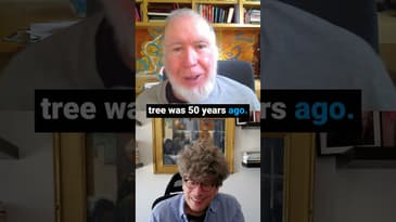 Plant a Tree, Shape the Future | The Power of Active Optimism | Kevin Kelly