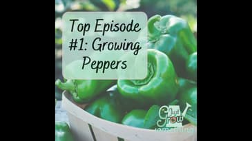 Top Episode 1: Growing Peppers - Ep. 177