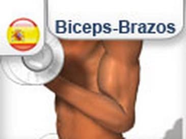 Trabajo Muscolo Biceps musculos bicep