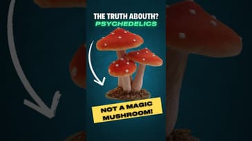 The Truth About Psychedelics: It's Not A Magic Mushroom! #shorts  #podcast #psychedelicjourney