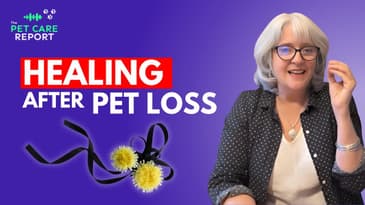 Overcoming Pet Loss with Proven Strategies