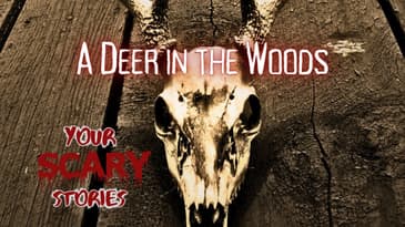 A Deer in the Woods true scary story